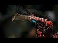 Trailer (1)