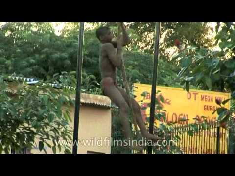 how to practice rope climbing
