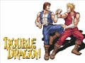 music from double dragon for the gb/nes. this track plays in the title screen, and i believe it is the game's main theme.