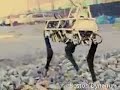 Robot Mule