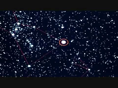 Largest Stars
