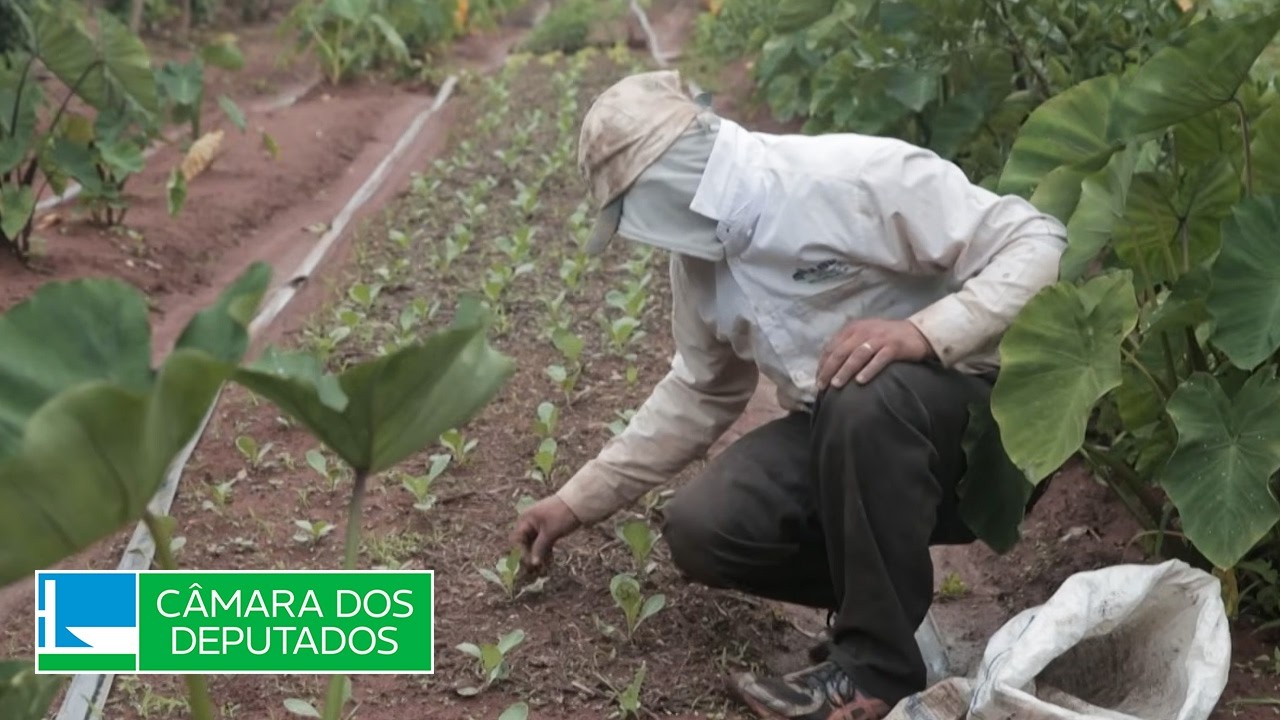 Crédito e mudanças climáticas são decisivos para o agronegócio - 25/09/26