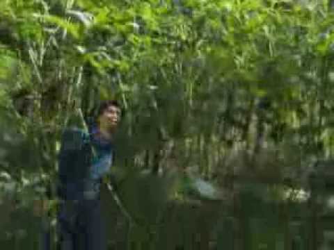 how to fertilize okra