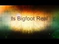 BigFoot