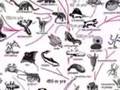 7 -- The Theory of Evolution Made Easy