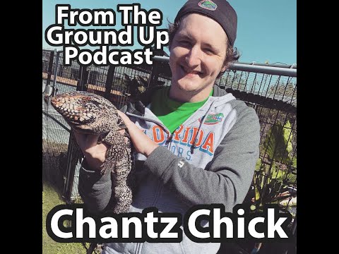YouTube reptile video