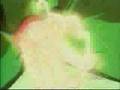 Dragonball Z Sevendust Denile