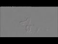 GAGA - Olewaj system - teledysk 2007
