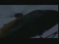 gun fight