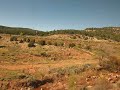 New Mexico hills