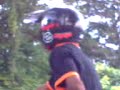 RemPiT_wekang polo..(LTD Punk5_grOup)