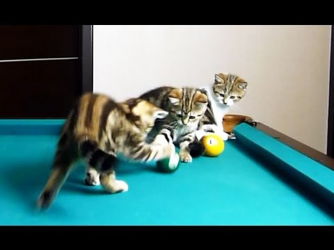 how to play m billiard on facebook