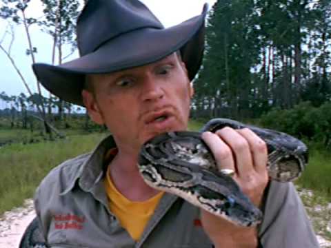 Burmese Python