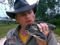 Burmese Pythons in South Florida Everglades