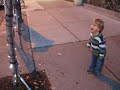 Lion Kid