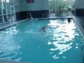 shark-week-mako-sharks-speed.html