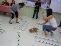 第一屆寵物奧運會- 兔子跨欄賽片段
