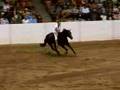Stacy Westfall Congress Freestyle 06