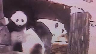 Smithsonian National Zoo