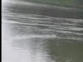Rock skipping / Ricochets sur l\ Rock skipping / Ricochets sur l\