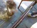 submitted by rockbridgewebmaster on Thu May 7 2009 at 09:16pm