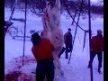 kasapet-shqiptar
