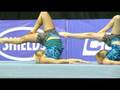 Acrobatic Gymnastics World Championships 2008