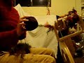Spinning a tailspun yarn with lincoln locks