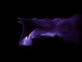 Flame Effect