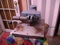 My retro heat press! T-shirt transfers.