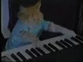 El Único Gato Tecladista