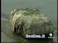 VIAGGIO TRA I RIFIUTI TOSSICI