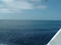 Tuna Fishing - 6 pack off San Diego2