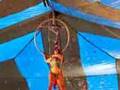 Circus Acrobat