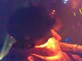 Dj volky - Dj okan
