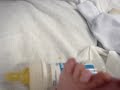 Max 2 days old Max 2 days old