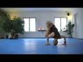 Dynamic Flow Yoga: Lotus cycle