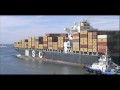 La revisión documental y física de su producto es un punto fundamental para que el producto sea importado a México. Én este clip se explican cuáles son las etapas de una inspección, así como la normativa vigente que regula a los productos cárnicos. El personal de la Dirección General de Inspección Fitozoosanitaria es responsable de realizar las inspecciones fitosanitarias y zoosanitarias a productos agropecuarios de importación y de movilización.