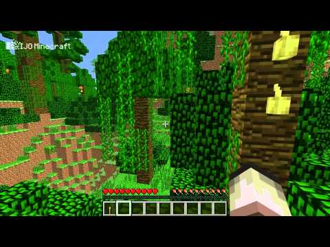 how to grow cocoa beans in minecraft