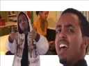 oreetay - adib kadir