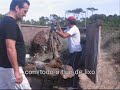 limpeza da ROM limpeza da ROM
