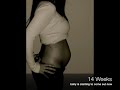 Belly Progression So Far Belly Progression So Far