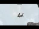 B.A.S.E movie 2