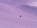 Live to ski