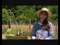 Les Potagers En Carrés Surélevés De Marie