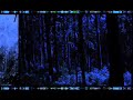 -- AINU -- Voice Of Forest  - www.ainu.pl