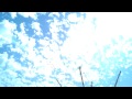 Snow Birds 2