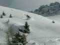 Powder skiing/snowboarding in Verbier