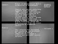 Extracellular Matrix Osteoblasts.AVI