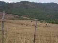 videos de Siculiana,Caltabellotta,Corleone,Madonie,Favara